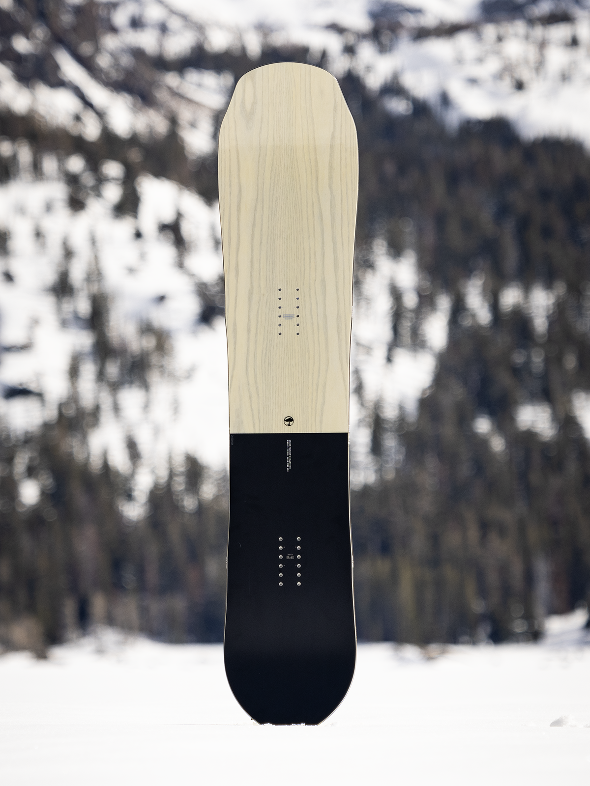 Single Snowboard
