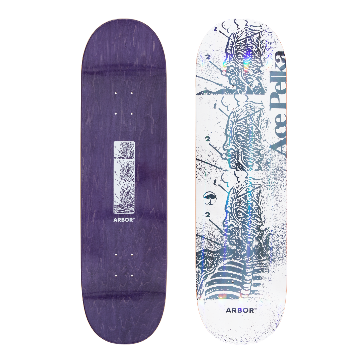 Arbor Ace Pelka Pro Skateboard Deck - Anatomy 8.75