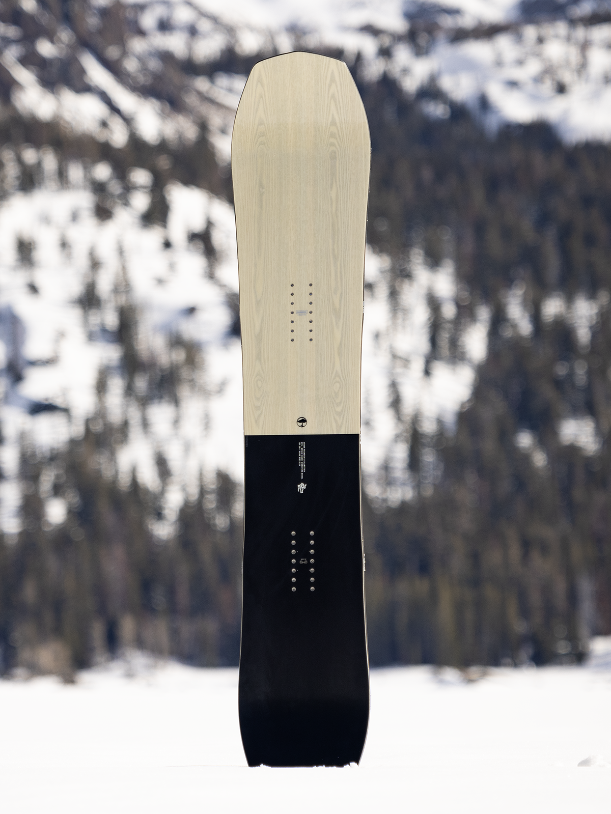 GPS Snowboard