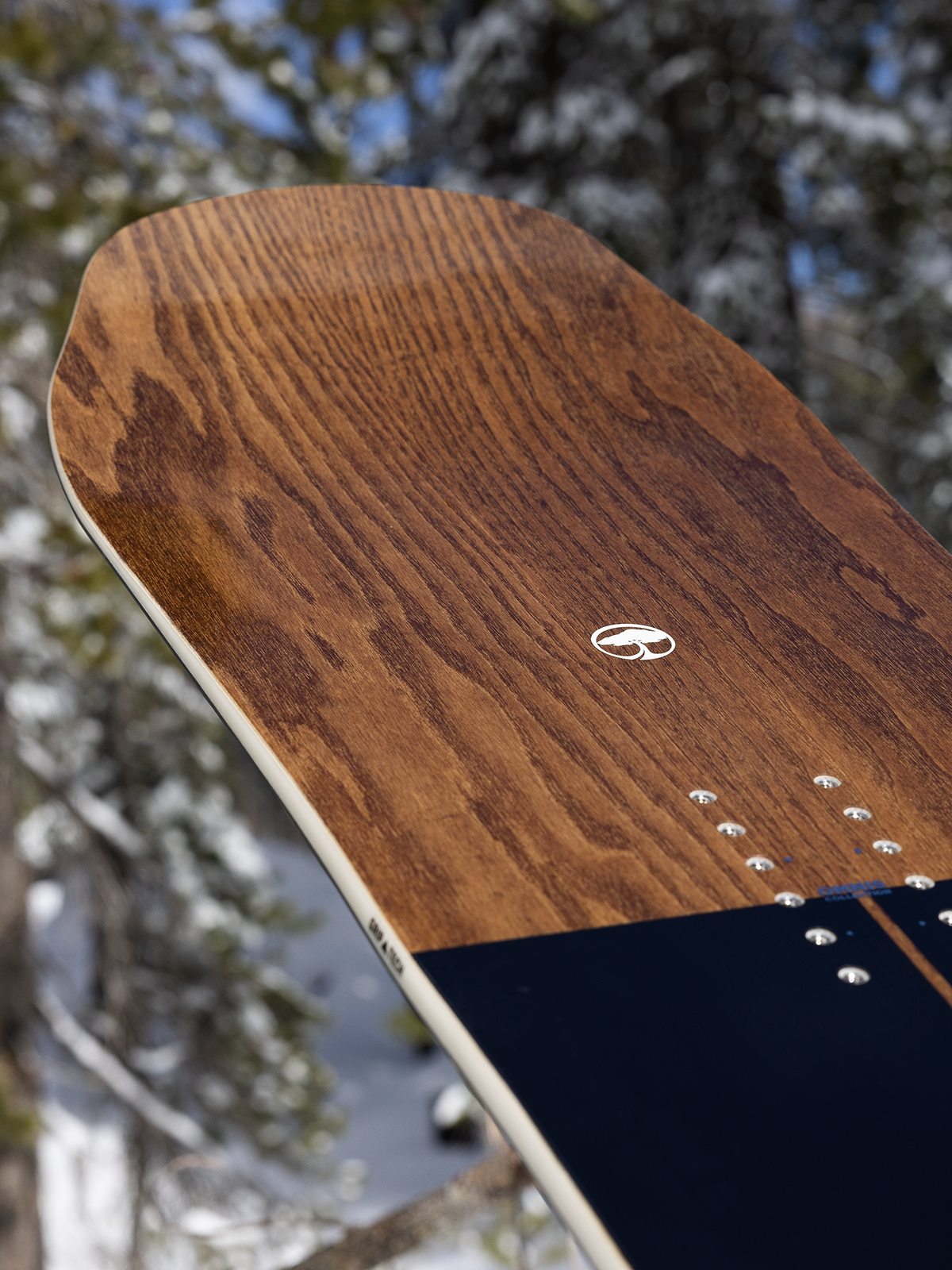 Element Snowboard