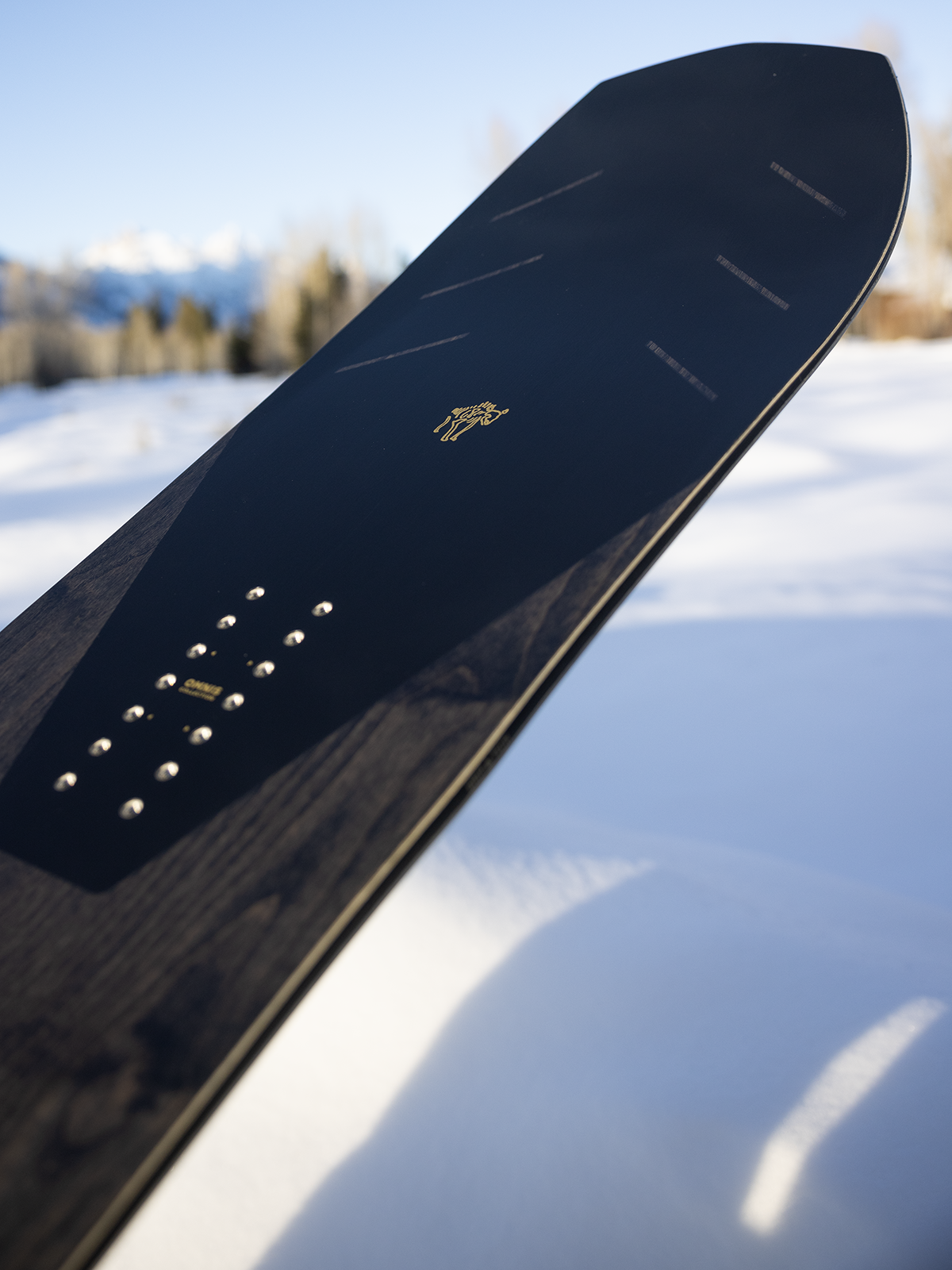 Bryan Iguchi Pro Snowboard