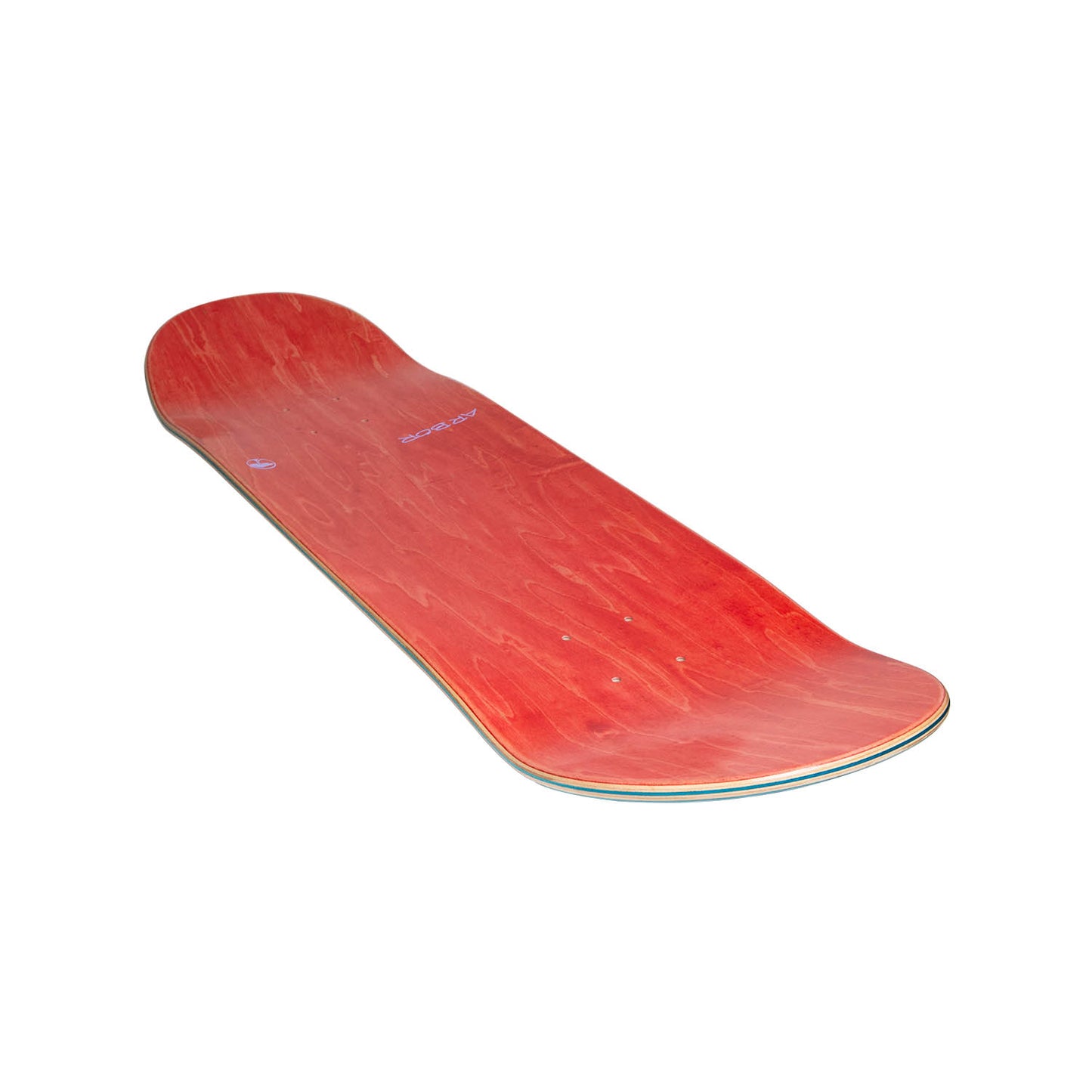 Ace Pelka Doodles 8.5