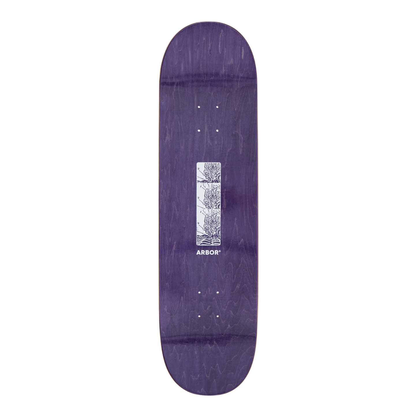 Arbor Ace Pelka Pro Skateboard Deck - Anatomy 8.75 - top