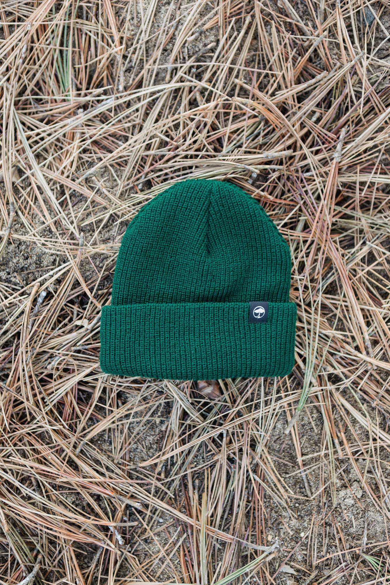 Icon Beanie