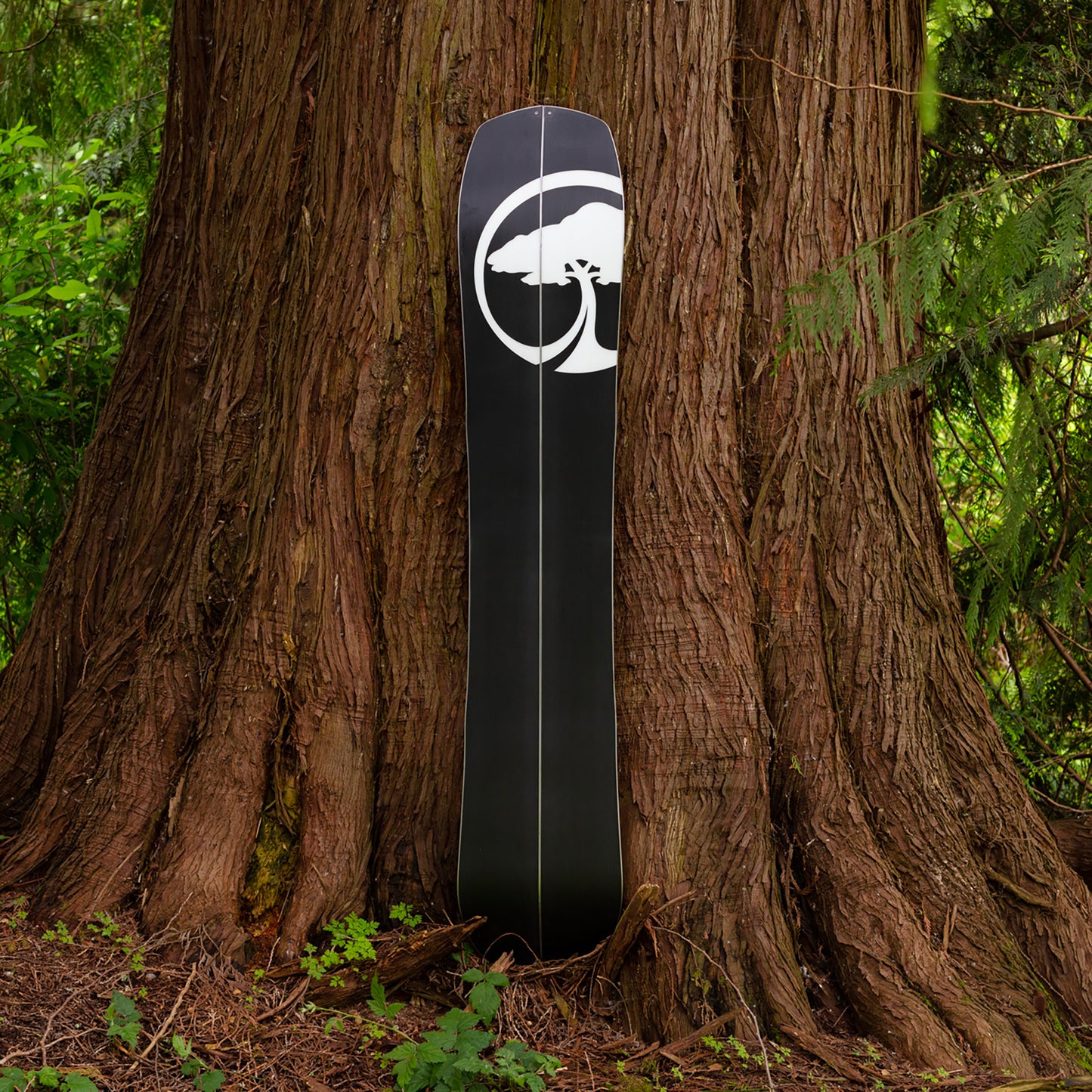 Landmark Splitboard Camber